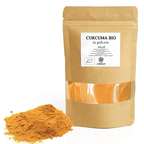 ERBOTECH Curcuma BIO en Poudre, Sachet de 100 g, 100% Pure et Biologique, Sans Ajout de Substances Allergéniques, Sans OGM, Végétalien & Sans Gluten